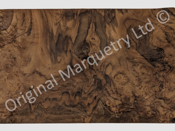 American Black Burr Walnut Wood Veneer - Image 3