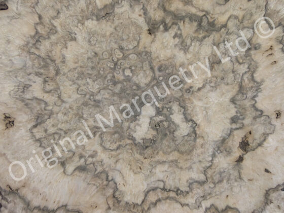 European Burr Walnut Wood Veneer - Image 2