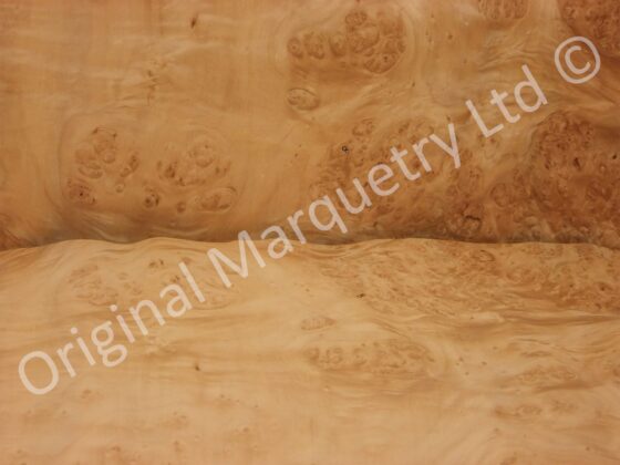 Burr Maple Cluster Wood Veneer - Image 2