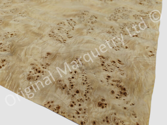 Burr Poplar Wood Veneer - Image 3