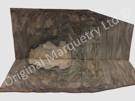 European Burr Walnut Wood Veneer