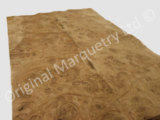 English Burr Oak Wood Veneer