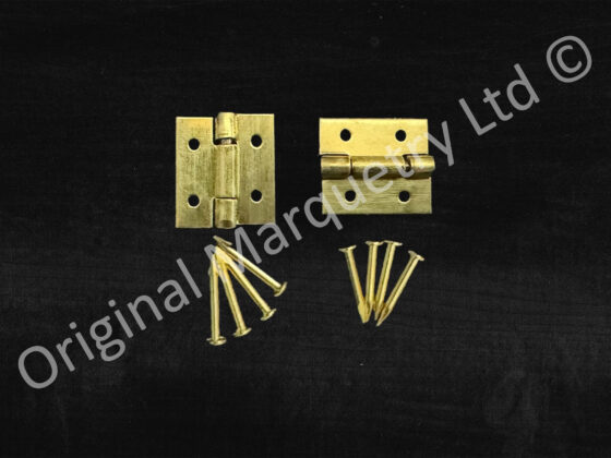 Jewel Case Hinges - 9 x 10mm - NH1