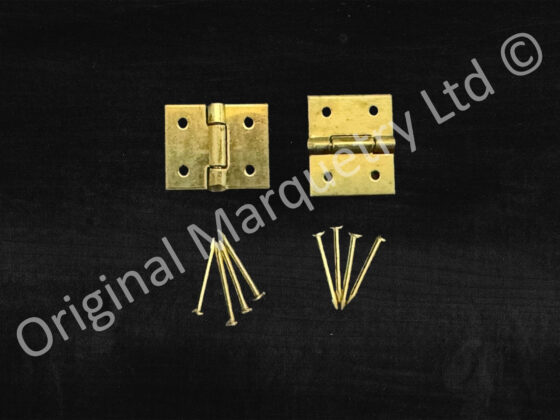 Jewel Case Hinges - 10 x 12mm - NH2