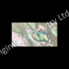 Abalone Blanks, More White - 42 x 22 x 1.5mm