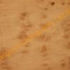 Burr Maple Wood Veneer Large Type No. 3 - 53 x 32"