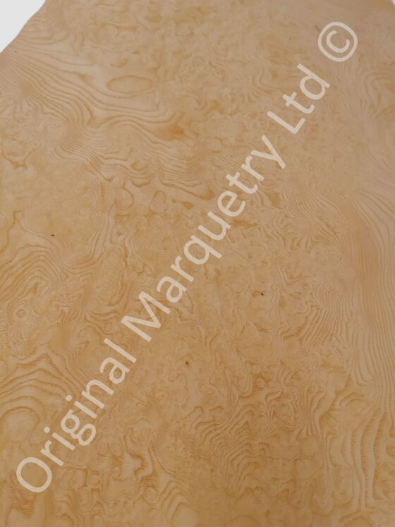 Burr Ash Wood Veneer - Image 2