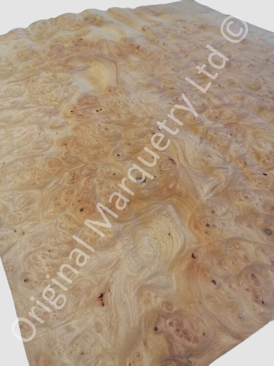 Burr Elm Wood Veneer - Image 2