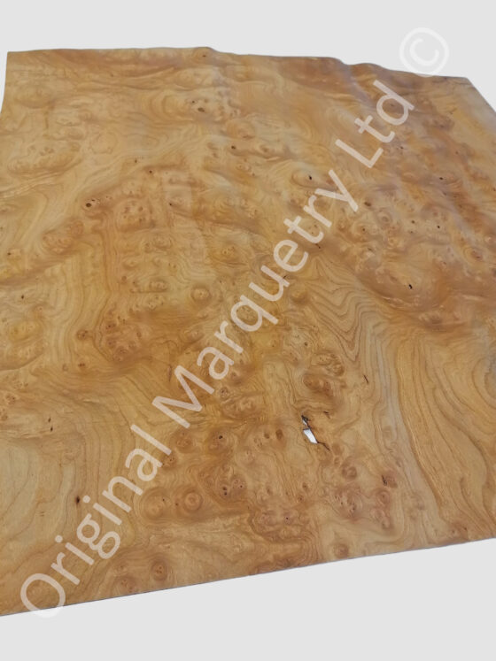 Burr Elm Wood Veneer