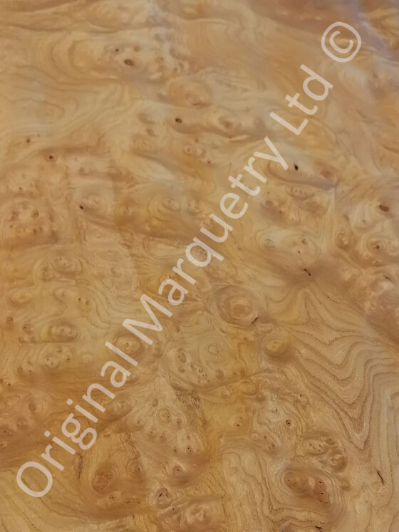 Burr Elm Wood Veneer - Image 2