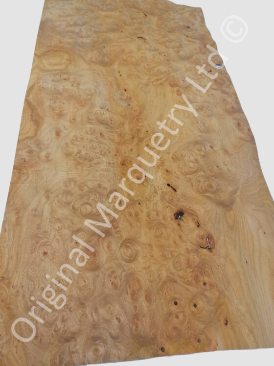 Burr Elm Wood Veneer