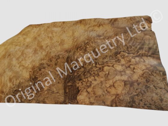 European Burr Walnut Wood Veneer - Image 2