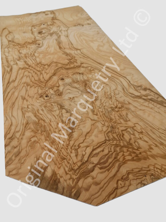 Olive Ash Burr Wood Veneer