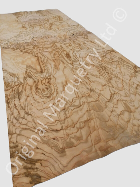 Olive Ash Burr Wood Veneer