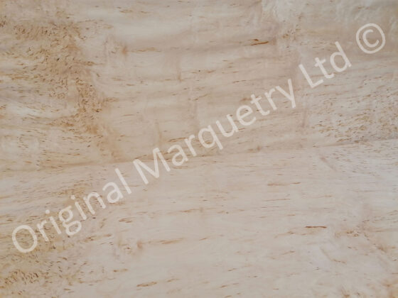 Masur Birch Wood Veneer - Image 3