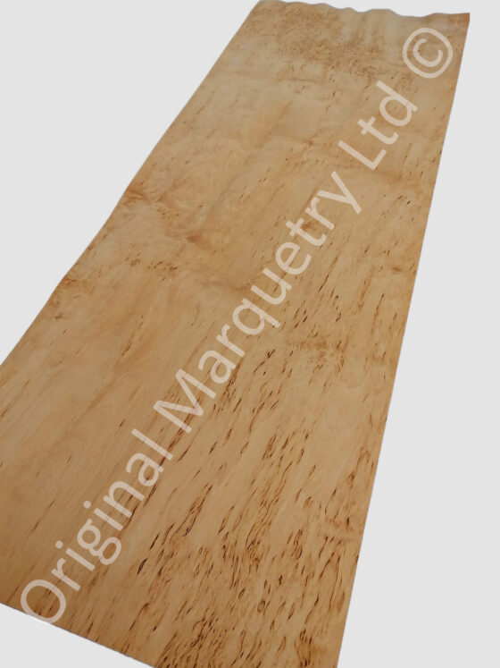 Masur Birch Wood Veneer - Image 2