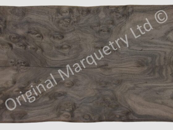 American Cluster Burr Walnut Wood Veneer