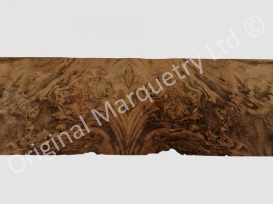 Burr Walnut Dashboard - American Burr Walnut Wood Veneer - Image 2