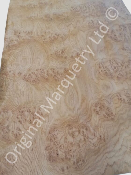 European Burr Oak Wood Veneer - Image 2