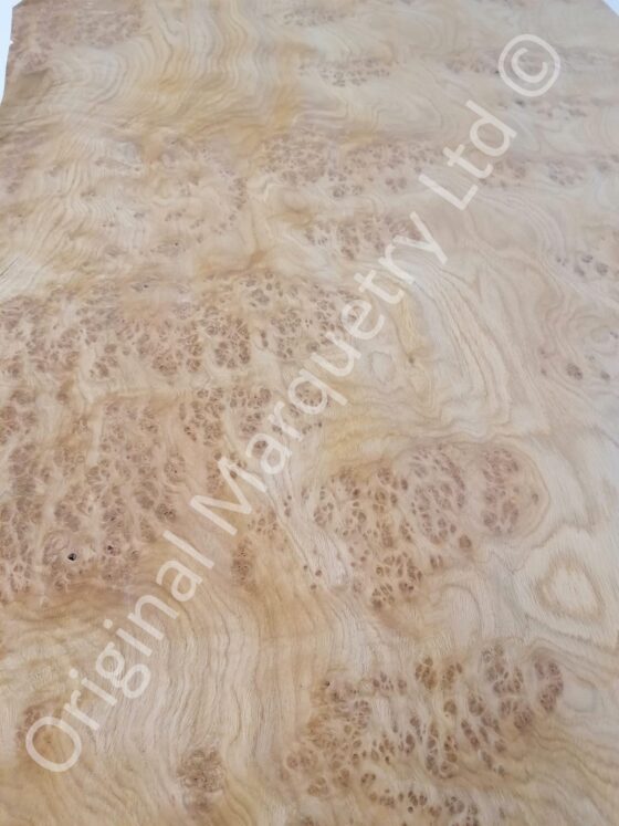 European Burr Oak Wood Veneer - Image 2