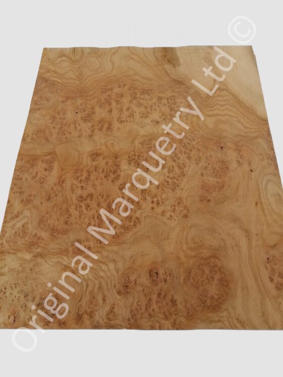 European Burr Oak Wood Veneer