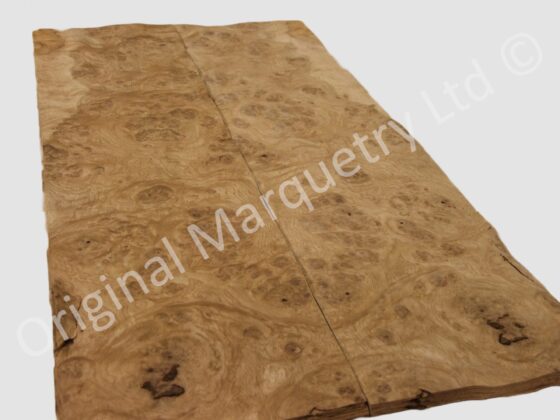 English Burr Oak Wood Veneer