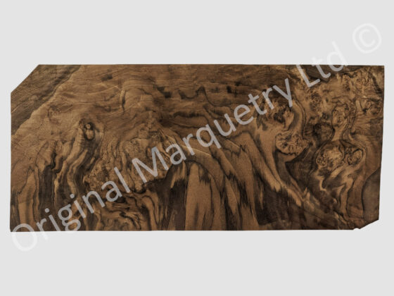 American Cluster Burr Walnut Wood Veneer