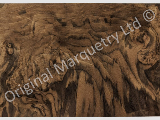 American Cluster Burr Walnut Wood Veneer - Image 2