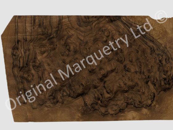 Burr Walnut Dashboard - American Burr Walnut Wood Veneer - Image 3