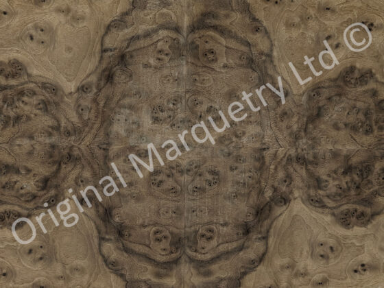 American Burr Walnut Wood Veneer - Image 2