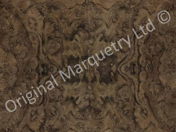 American Burr Walnut Wood Veneer - Image 2