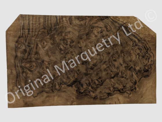 American Burr Walnut Wood Veneer