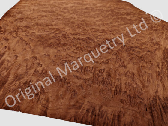 Burr Vavona Wood Veneer - Image 2