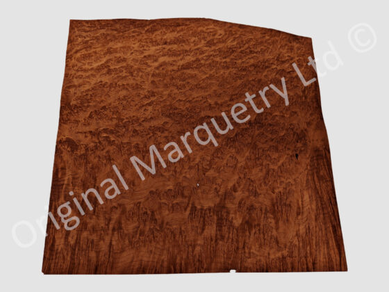 Vavona Burr Wood Veneer