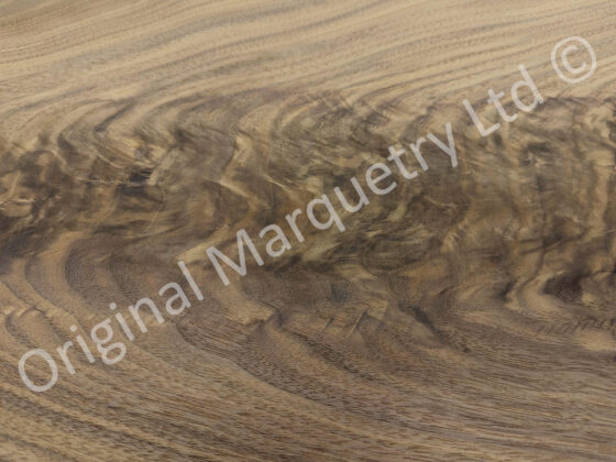 American Walnut Curl Wood Veneer - Image 4