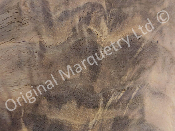 American Walnut Curl Wood Veneer - Image 3