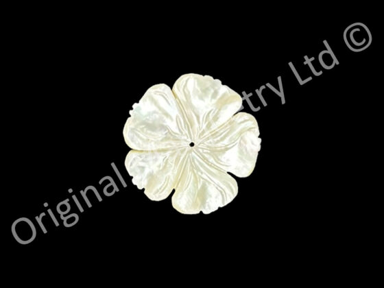 White Mother of Pearl Flower