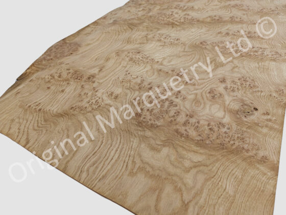 European Burr Oak Wood Veneer - Image 4