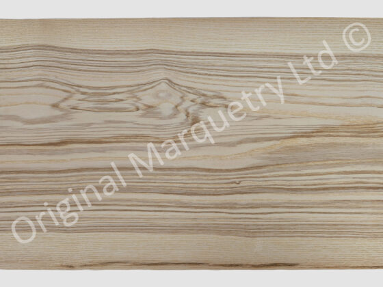 Olive Ash Wood Veneer - Image 4