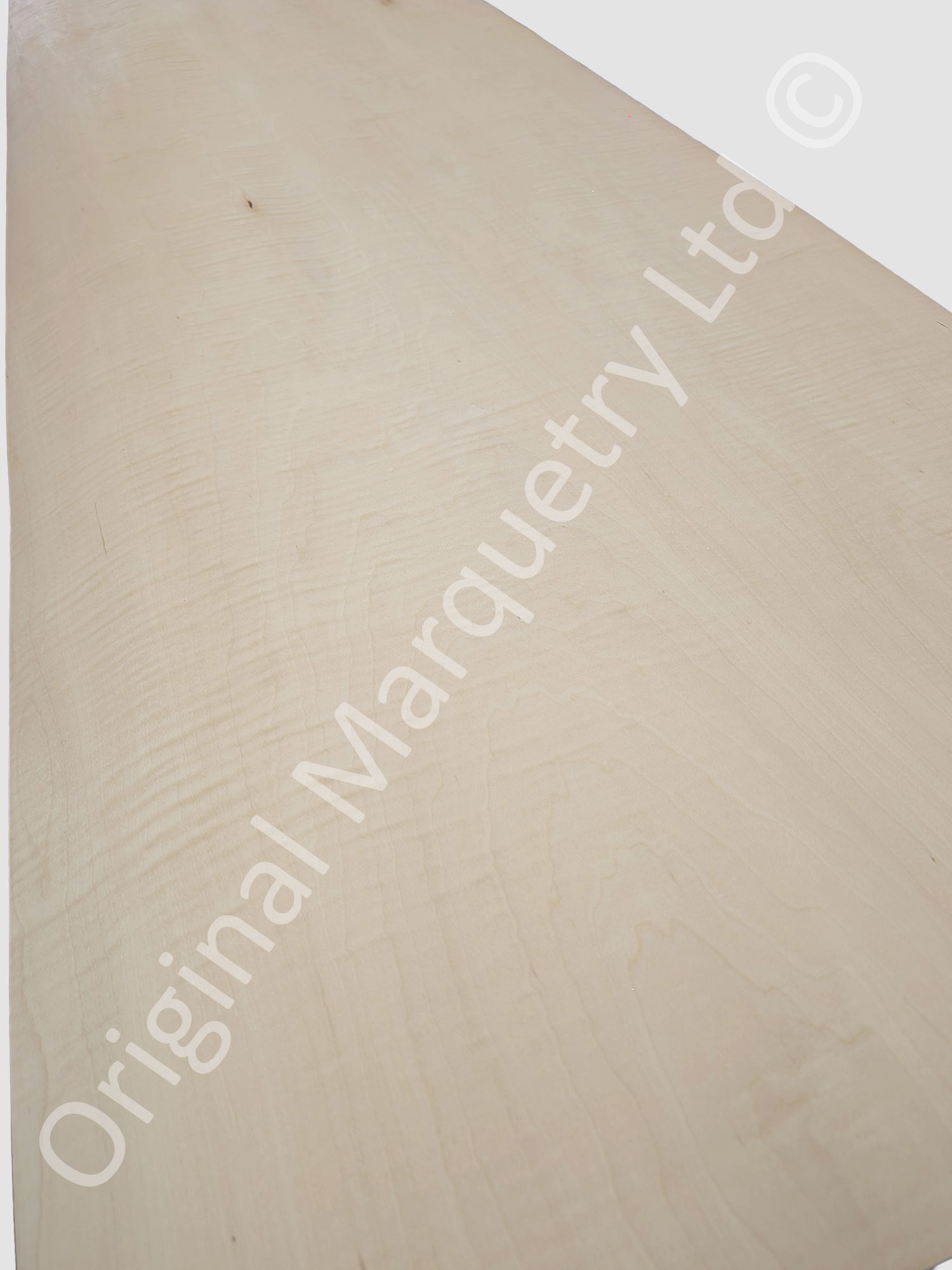 Curly Maple Figured Wood Veneer