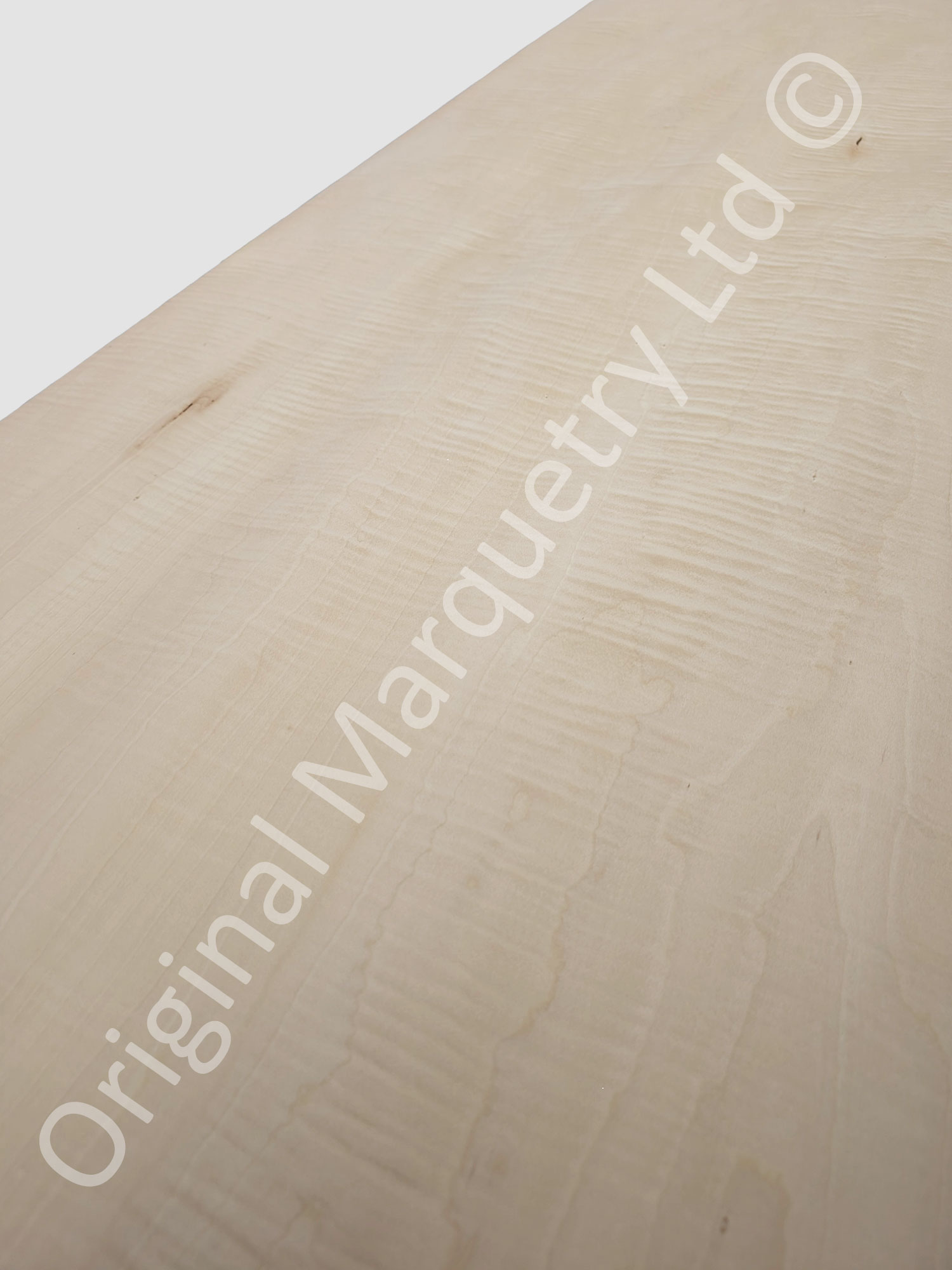 Curly Maple Figured Wood Veneer - Image 2